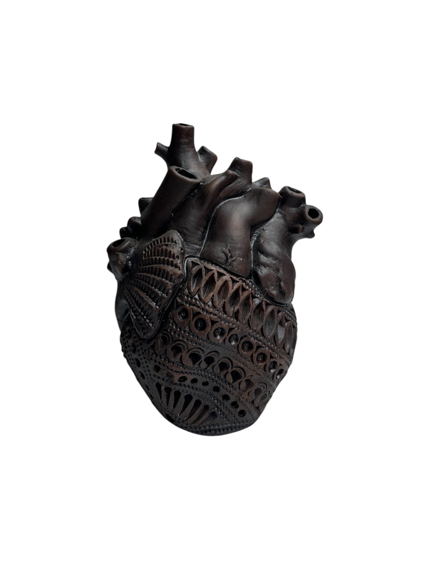 Corazon Arterias Barro Negro