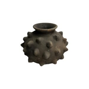Cantaro Mini Pochote