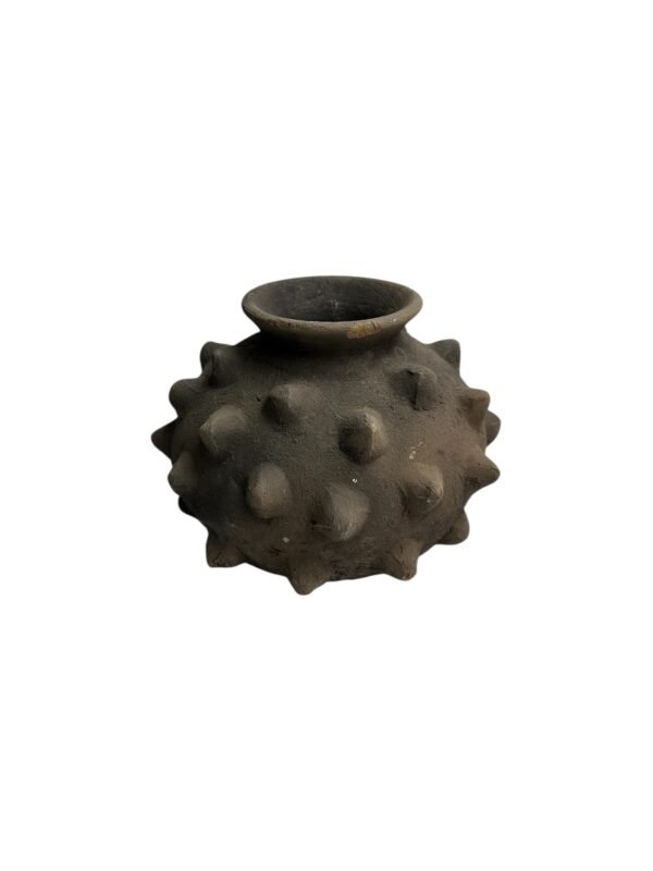 Cantaro Mini Pochote